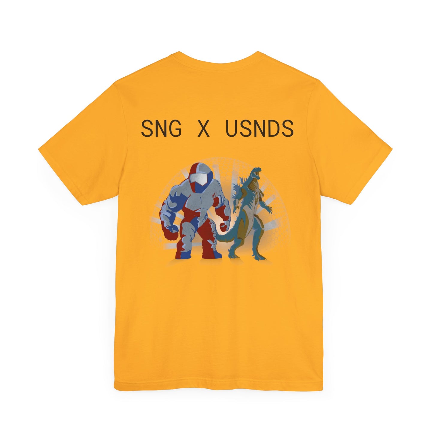 SNG x USNDS