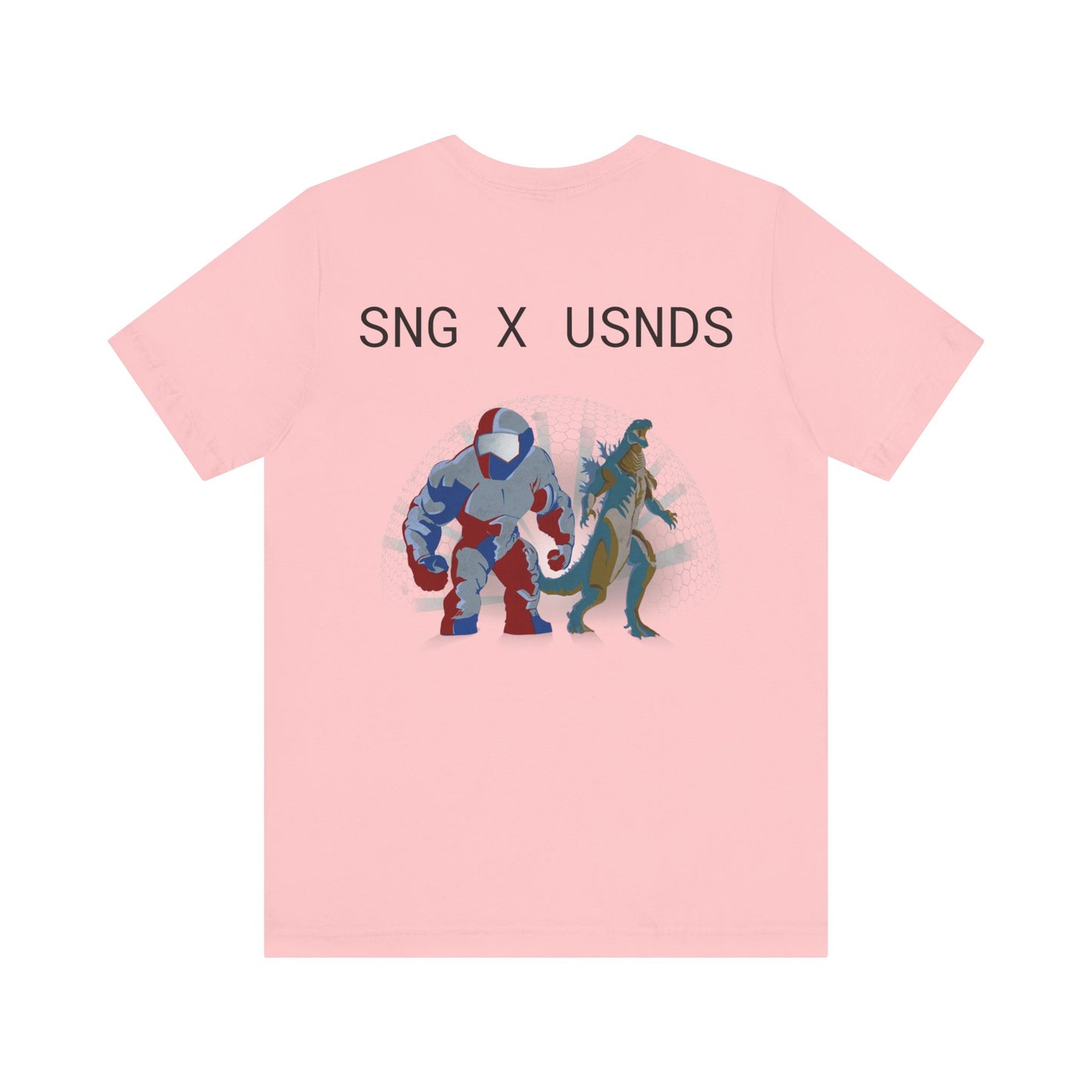 SNG x USNDS