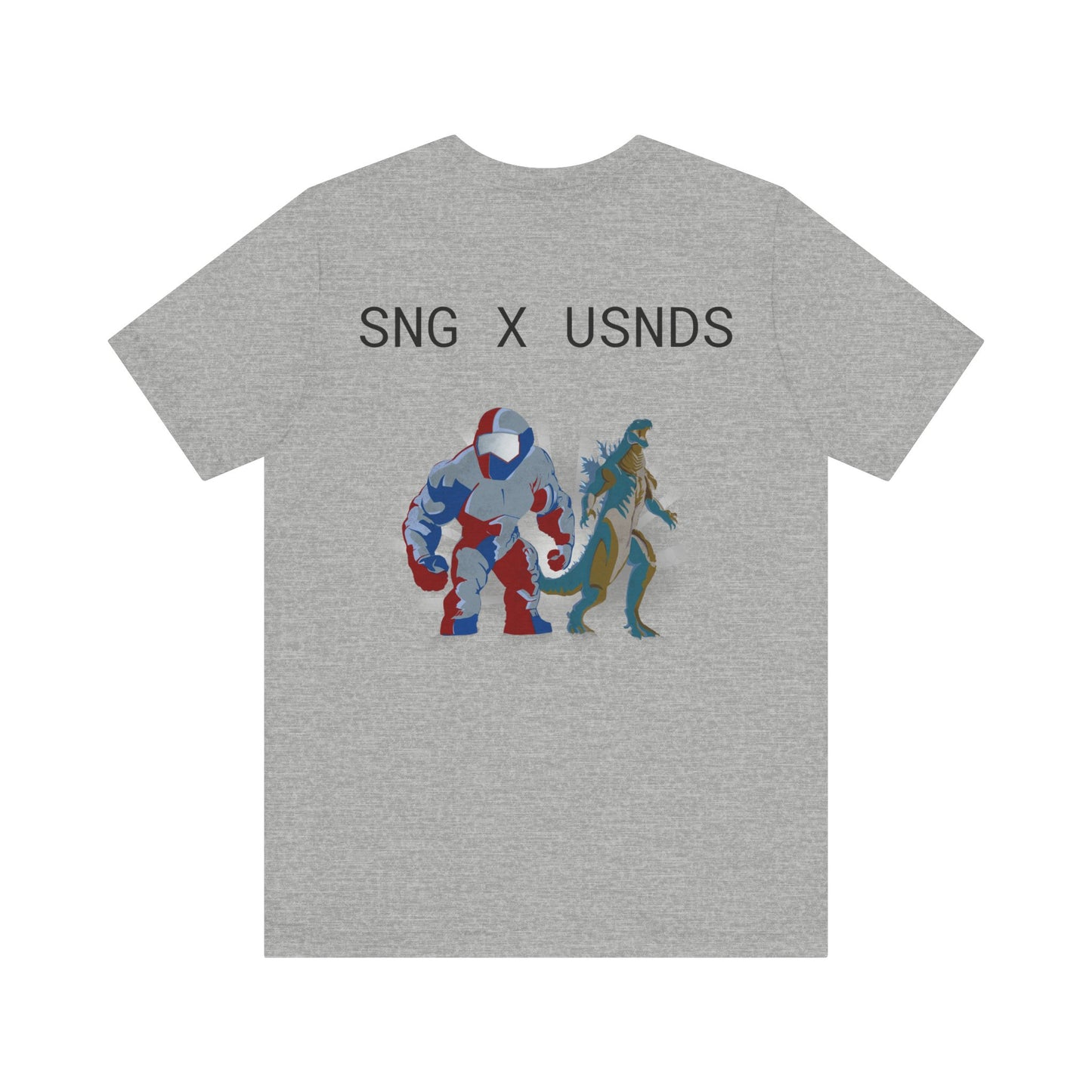 SNG x USNDS