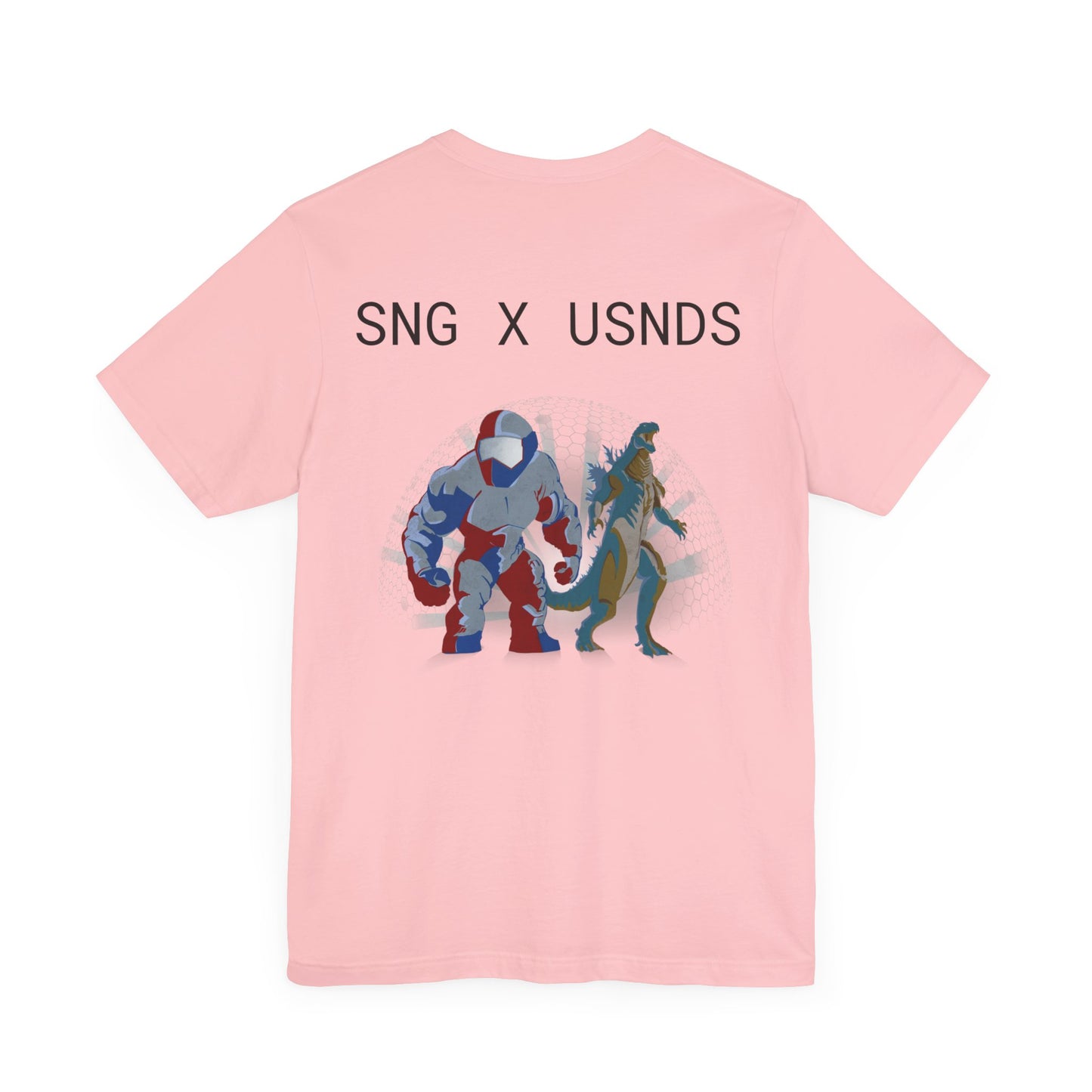 SNG x USNDS