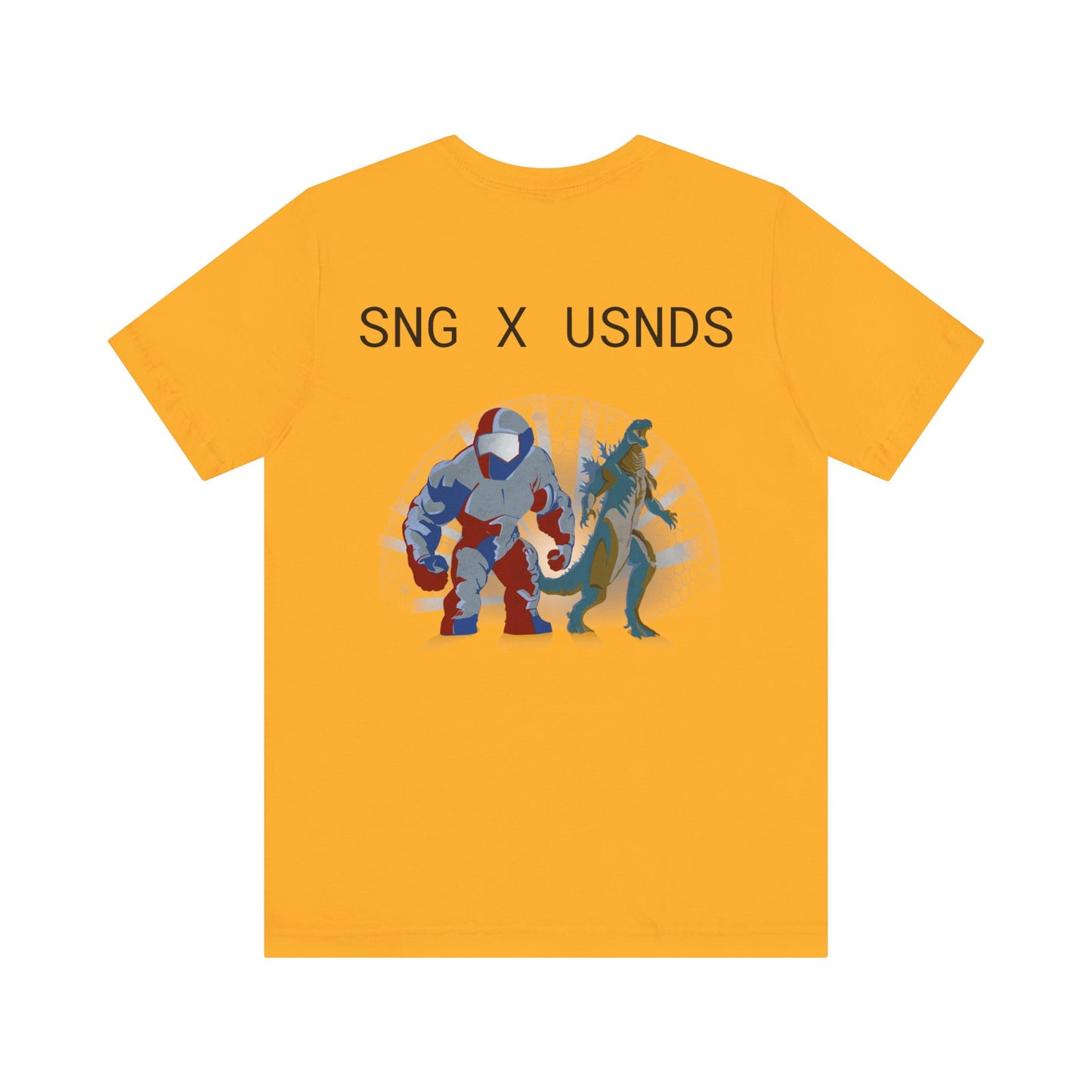 SNG x USNDS