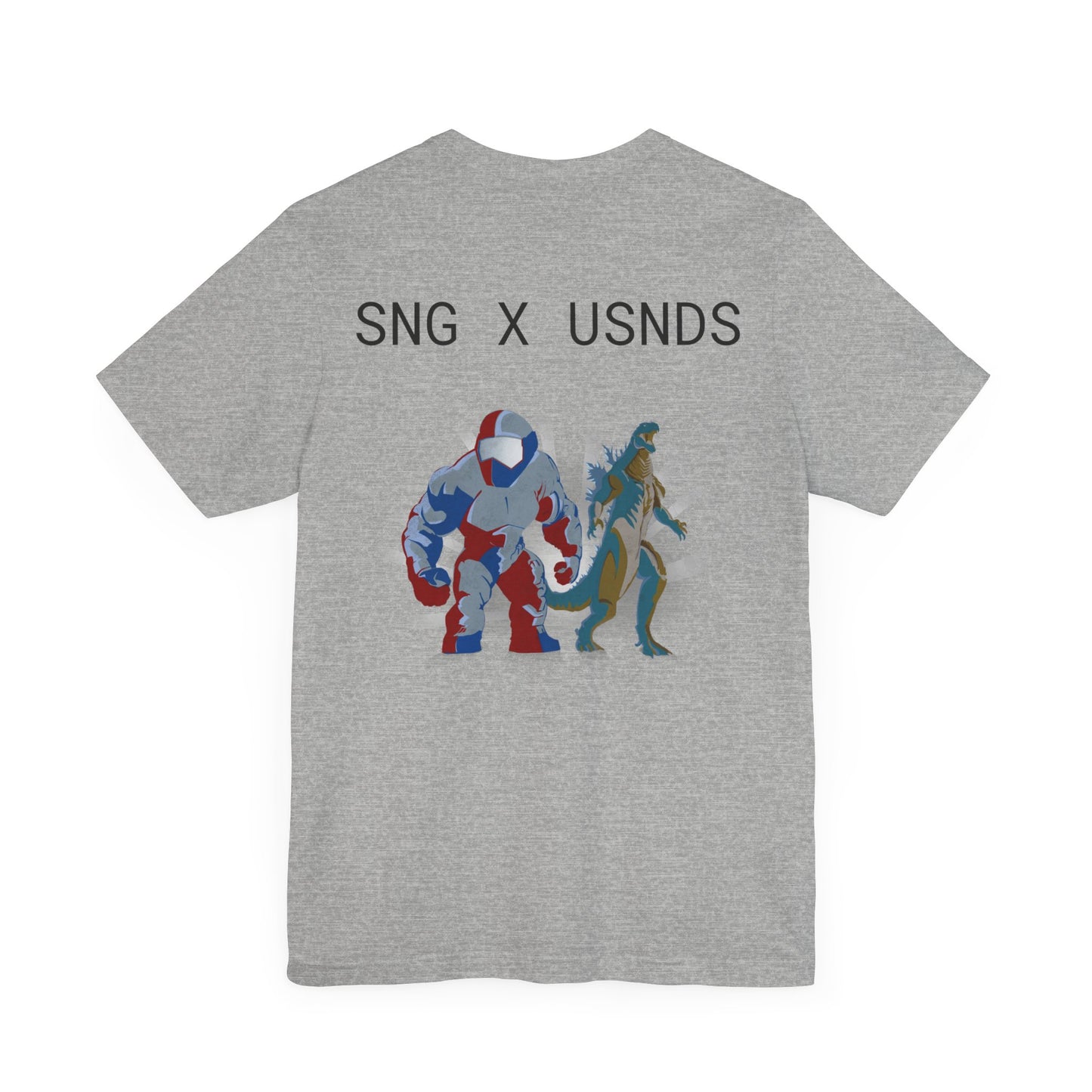 SNG x USNDS